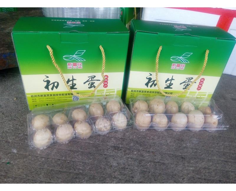 新富民初生蛋-源于天然 滋補(bǔ)有道。